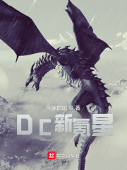 DC新氪星小说