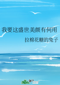 我要这盛世美颜有何用小说免费