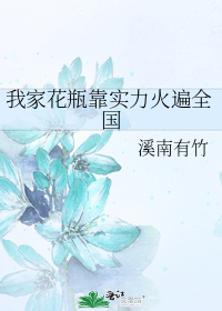 我家花瓶靠实力火遍全国(娱乐圈)百度云