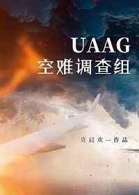 uaag空难调查组双洁嘛