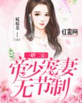 一婚二宝:帝少宠妻无节制听书百度网盘