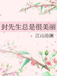 《封先生总是很美丽》作者:江山沧澜