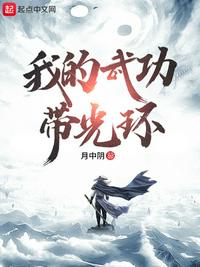 我的武功带光环正版